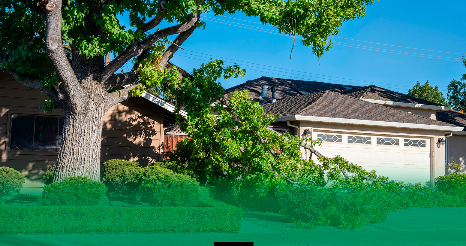 Spring Storm Protection: Insurance Guide for RGV Homeowners